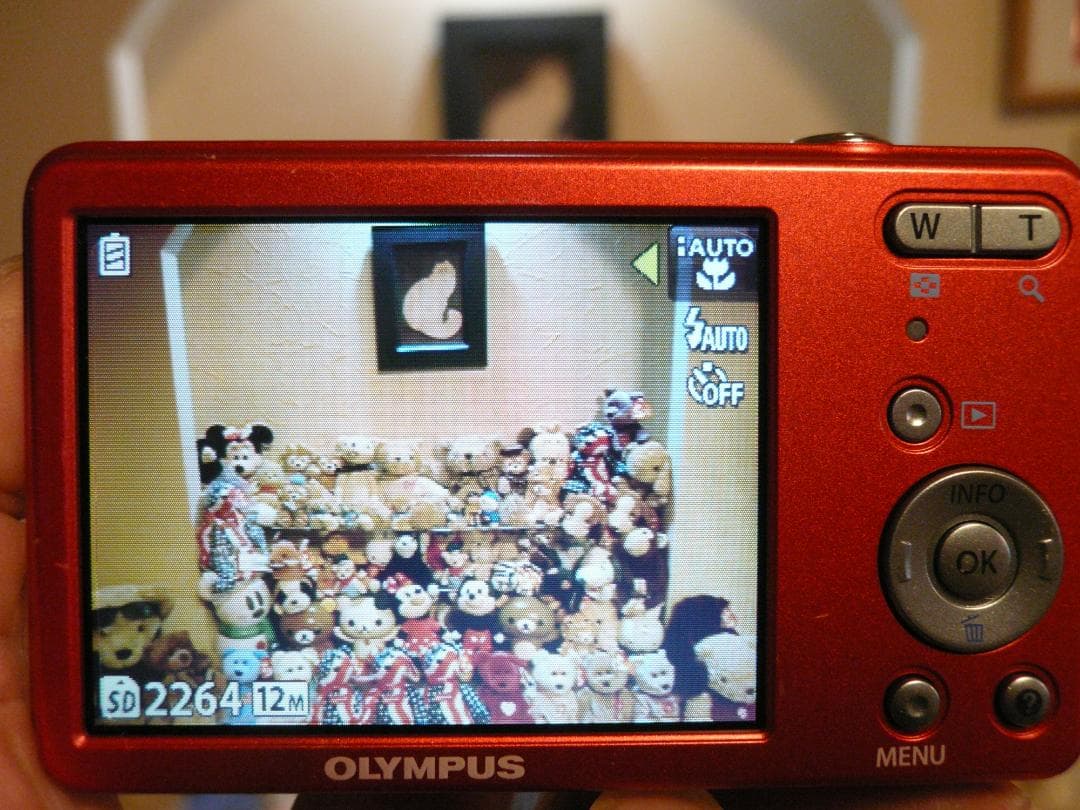 OLYMPUS VG-110⭐️極美品⭕️安心実働品⭕️光学４倍★1200万画素