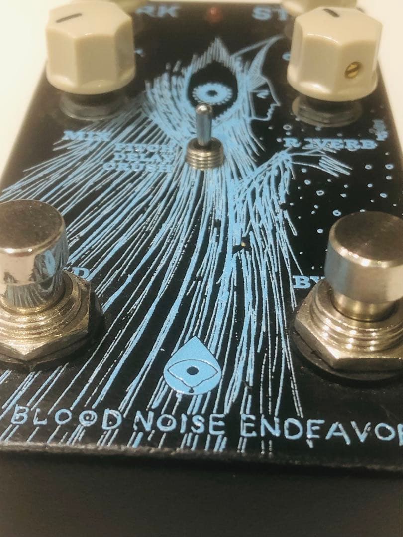 ギター OLD BLOOD NOISE ENDEAVORS DARK STAR