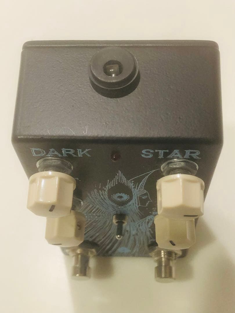 ギター OLD BLOOD NOISE ENDEAVORS DARK STAR