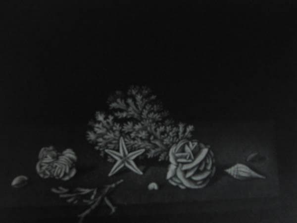 長谷川 潔・巨匠、マニエルノアールのレゾネ、新品額装付/hase25