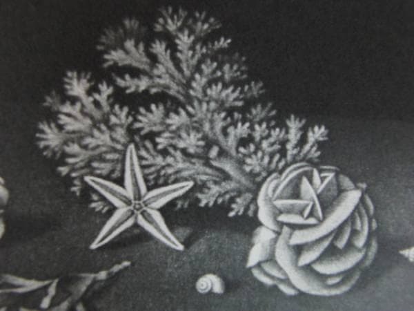 長谷川 潔・巨匠、マニエルノアールのレゾネ、新品額装付/hase25