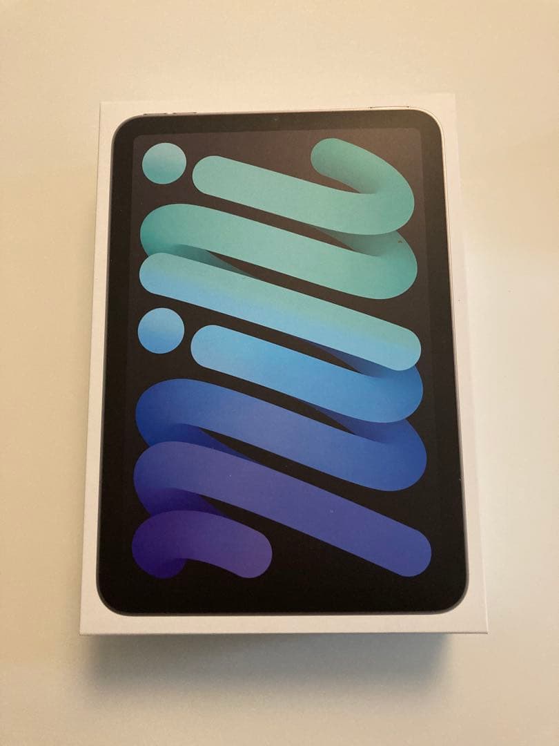 ［美品］Apple iPad mini 第7世代 アクセサリー含む