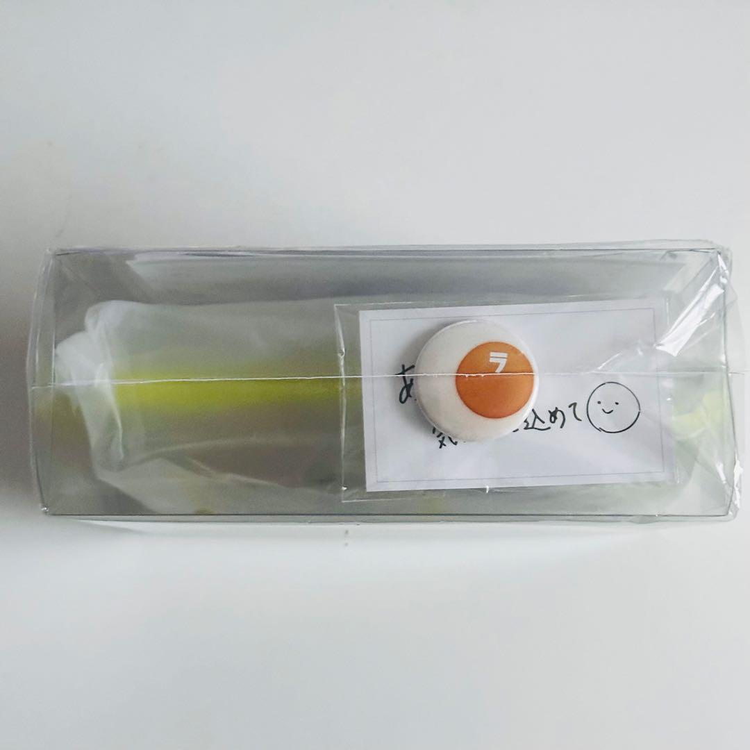 20th Anniversary Special Box 付属グッズ・缶バッジ