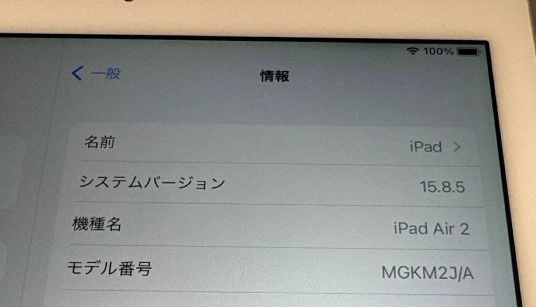 iPad Air 2（Wi-Fiモデル） 本体のみ