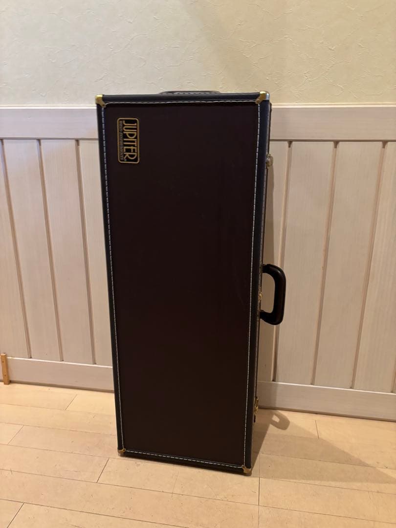 サックスケース