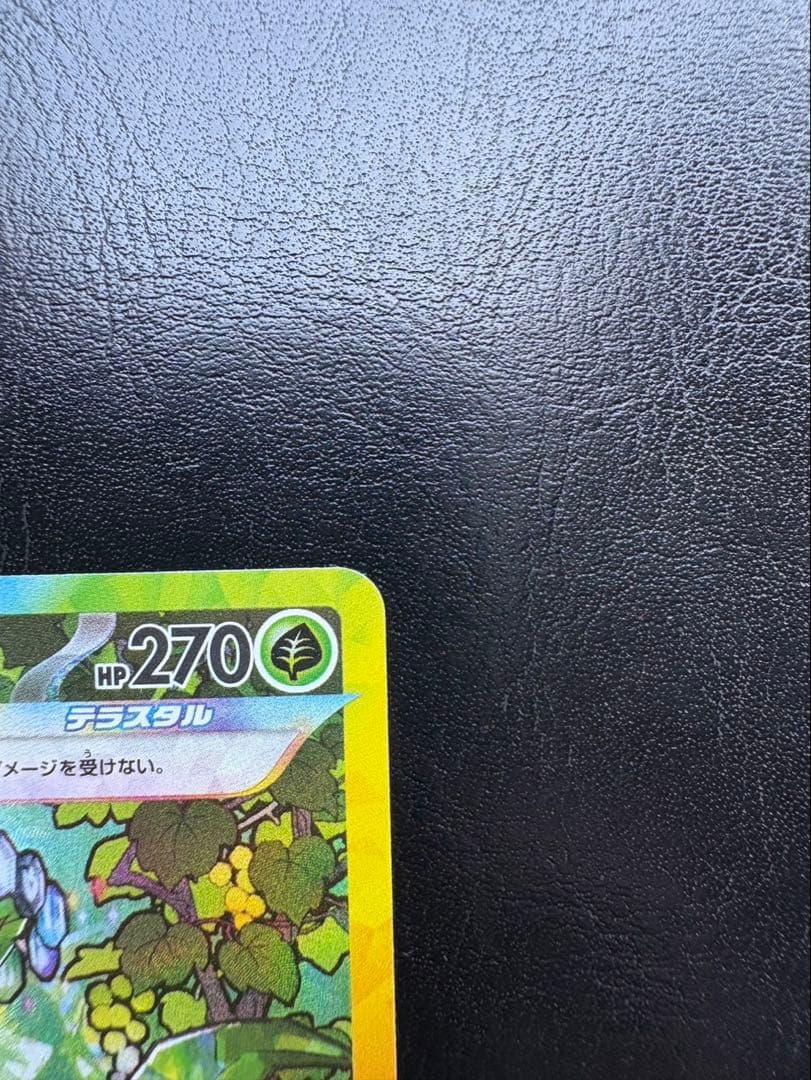 リーフィアexSARテラスタルフェスex