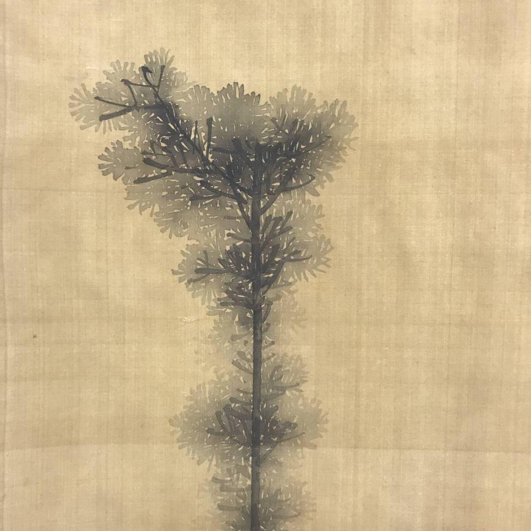 真作/秦川/山水図/田家の一本杉図/掛軸☆宝船☆AK-674