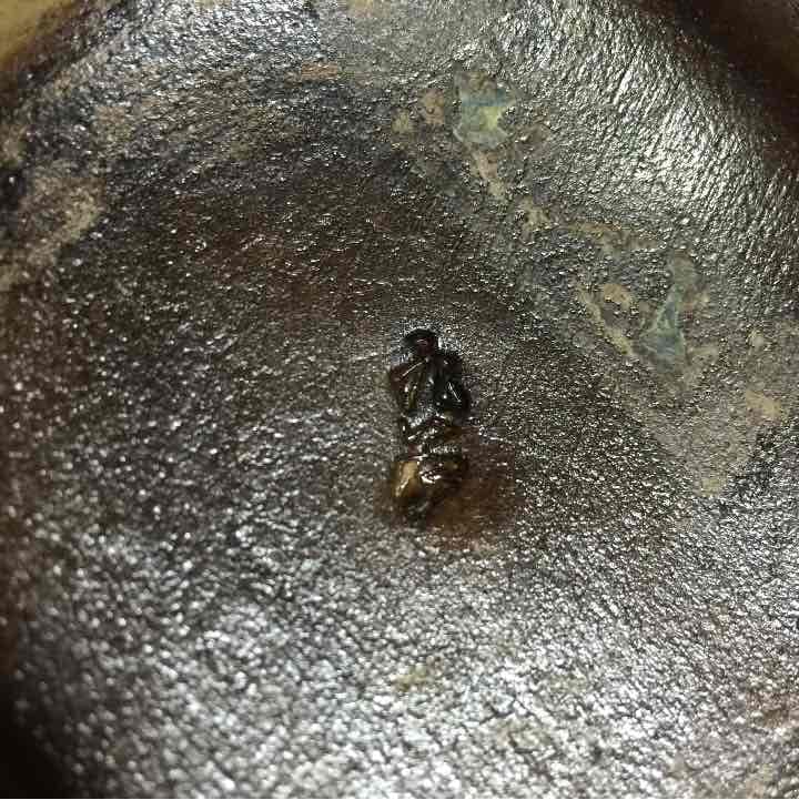 レア物❤️九谷焼❤️8号❤️小槌赤獅子❤️置物❤️美品★縁起物★シーサー