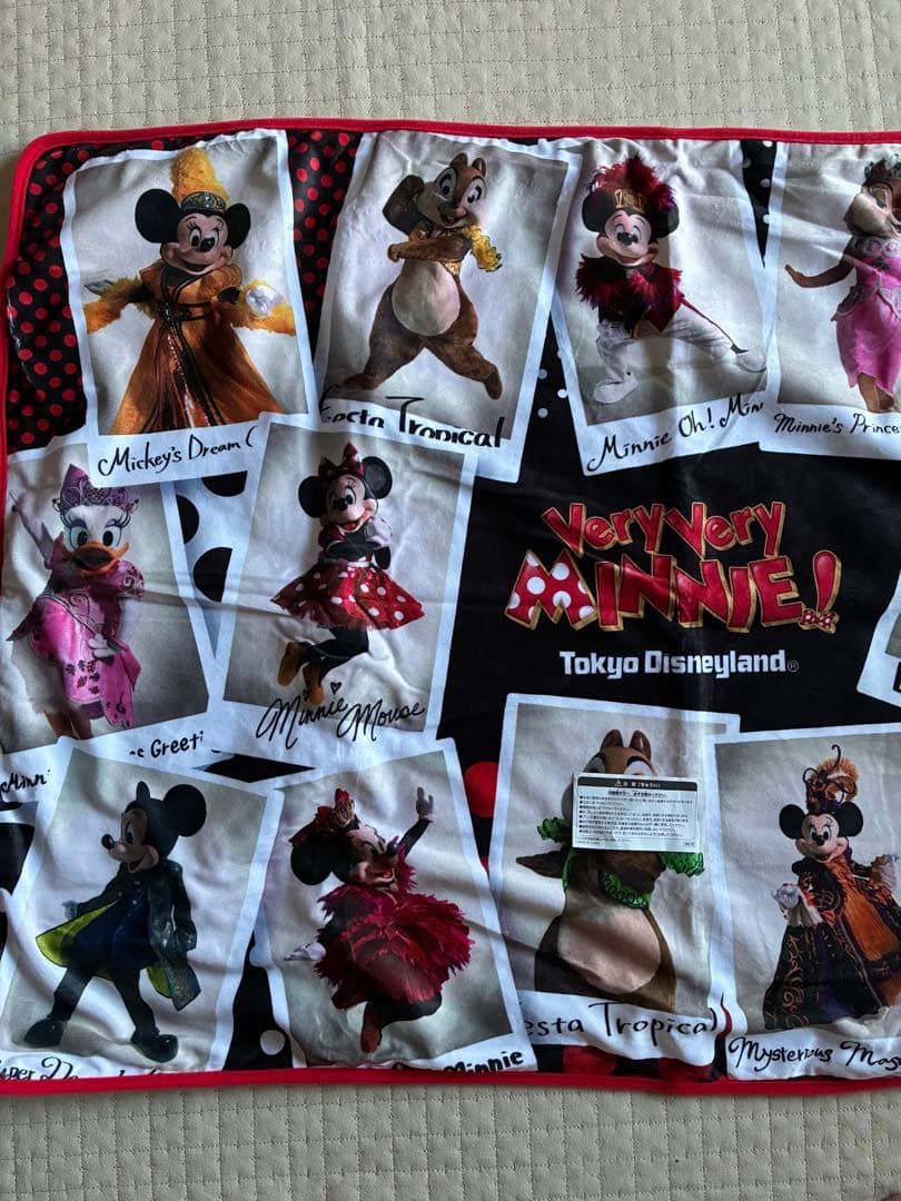 未使用Very Very MINNIE! 東京ディズニーランドブランケット