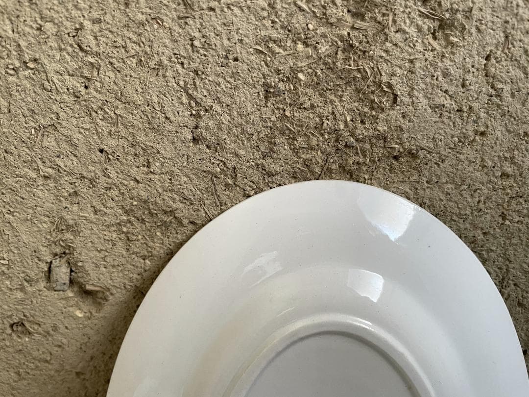 サルグミンヌ 小さいオーバルプレート N-442/フランスアンティーク