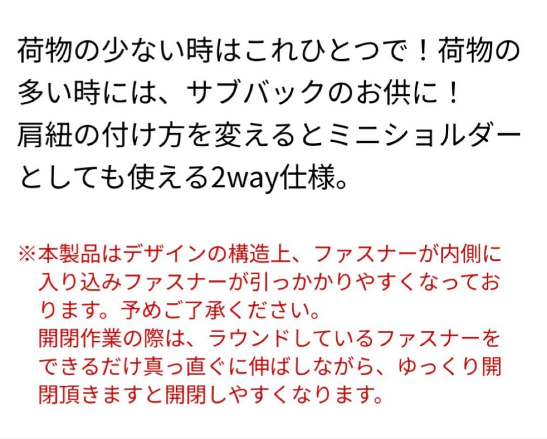 浜崎あゆみ ミニバックパック