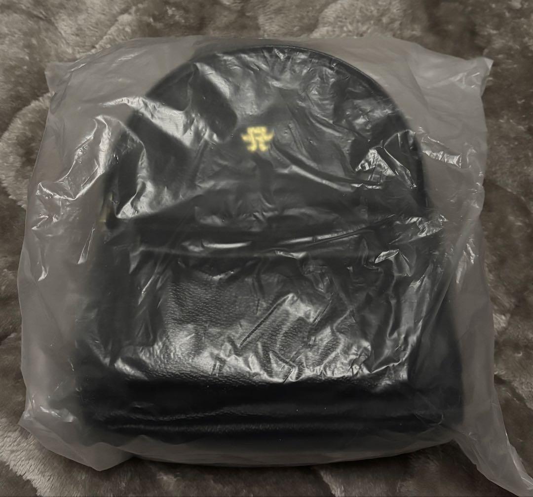 浜崎あゆみ ミニバックパック