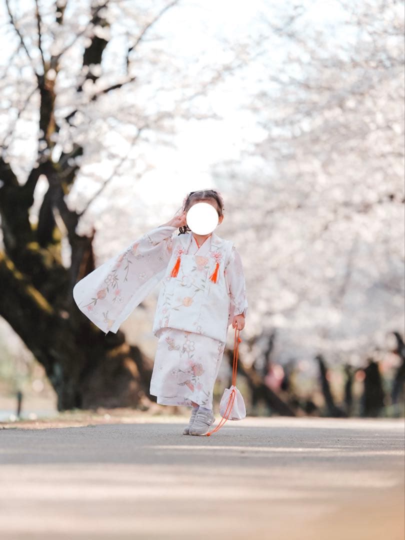 淡桃の恋詩 9点セット 着物　七五三　前撮り　3歳