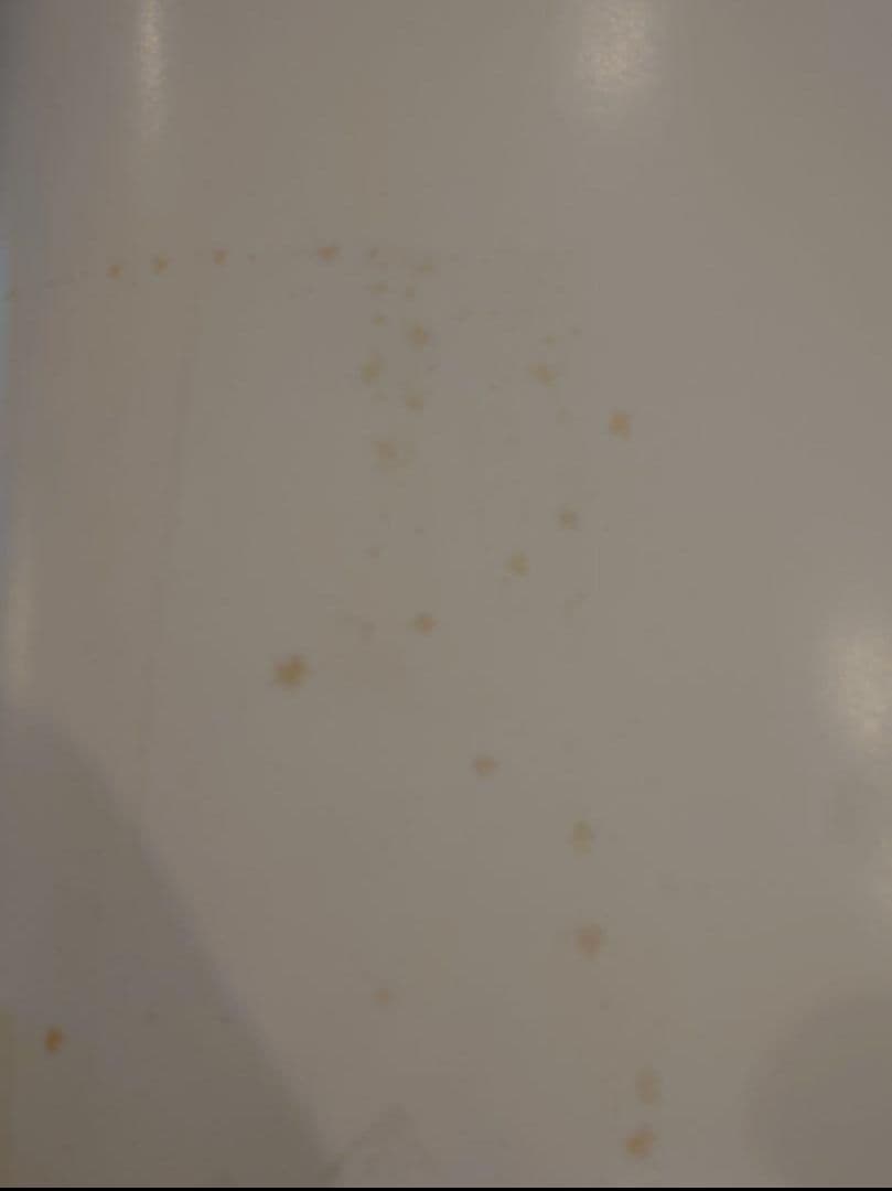 【超稀少】黒夢（清春、人時、臣）　1995　カレンダー