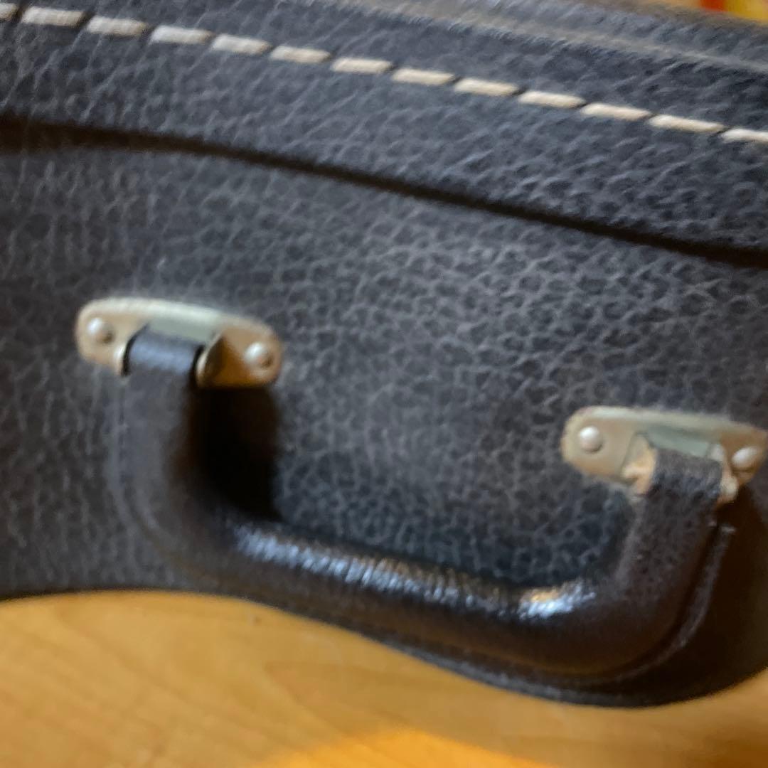 Caf's Eyes アコースティックギター ハードケース付き