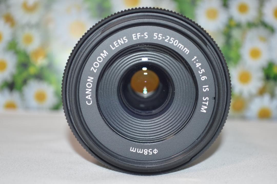美品　Canon EF-S 55-250mm IS STM 望遠ズームレンズ