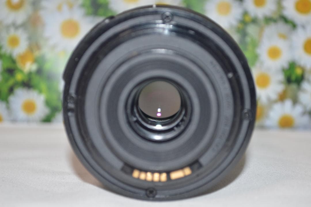 美品　Canon EF-S 55-250mm IS STM 望遠ズームレンズ