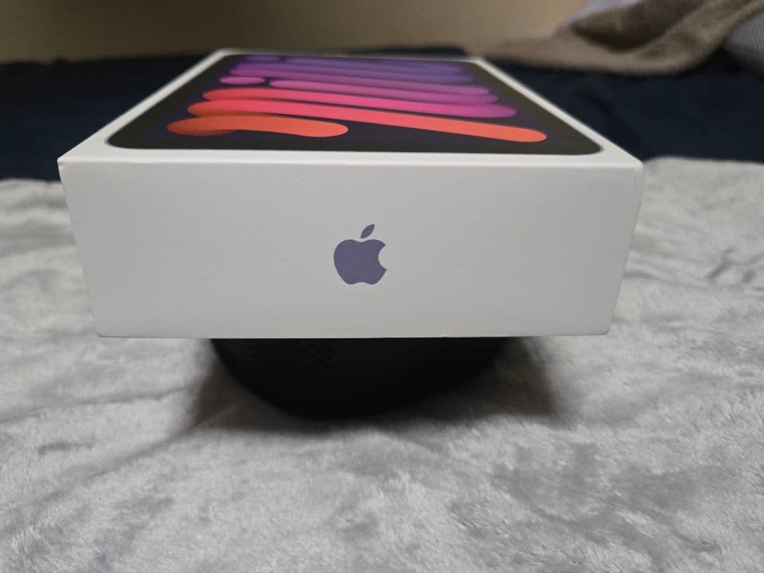 Apple iPad mini第6世代　パープル