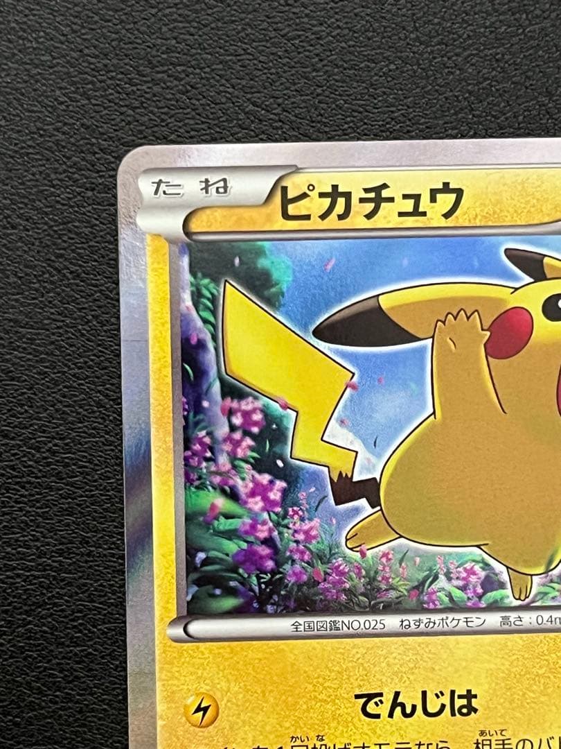 ピカチュウ　XY プロモ