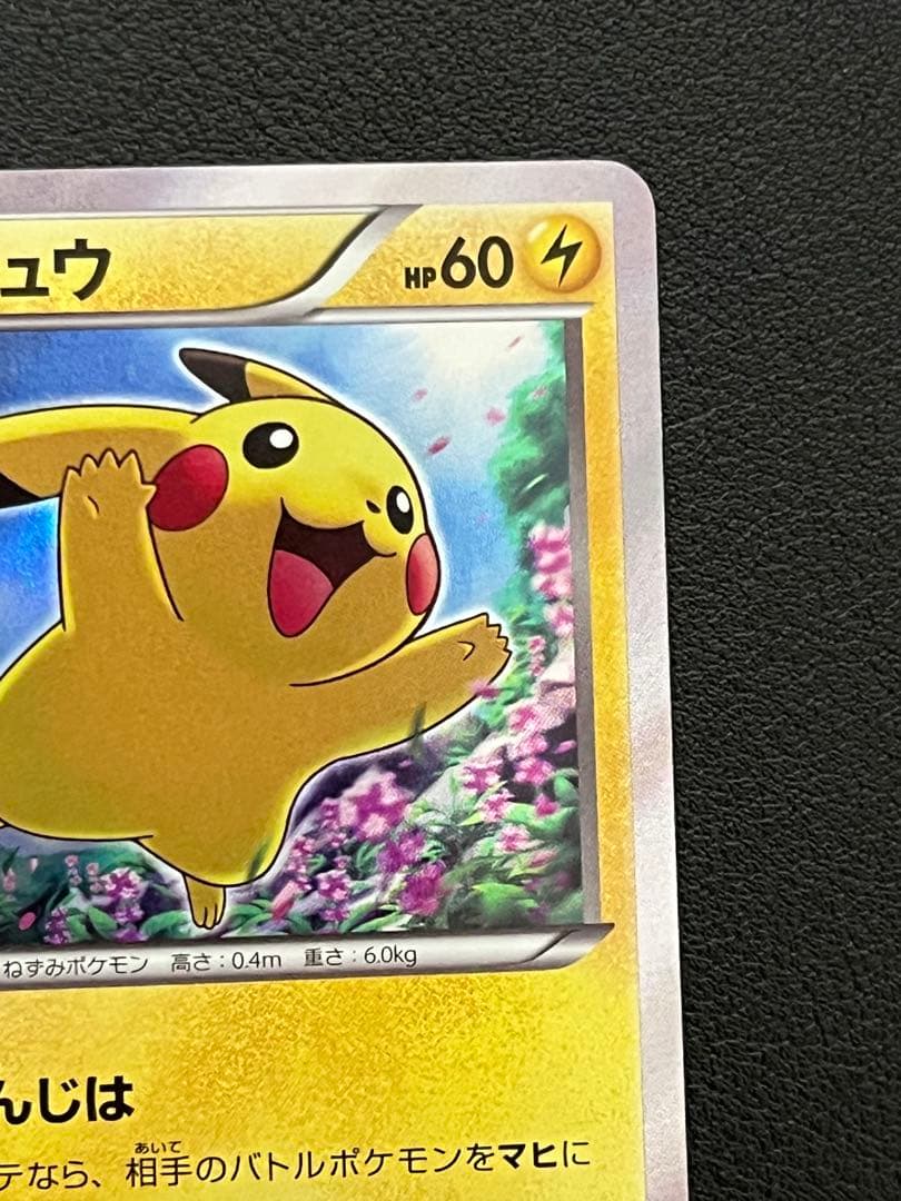 ピカチュウ　XY プロモ