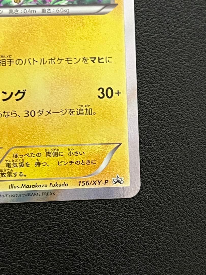 ピカチュウ　XY プロモ