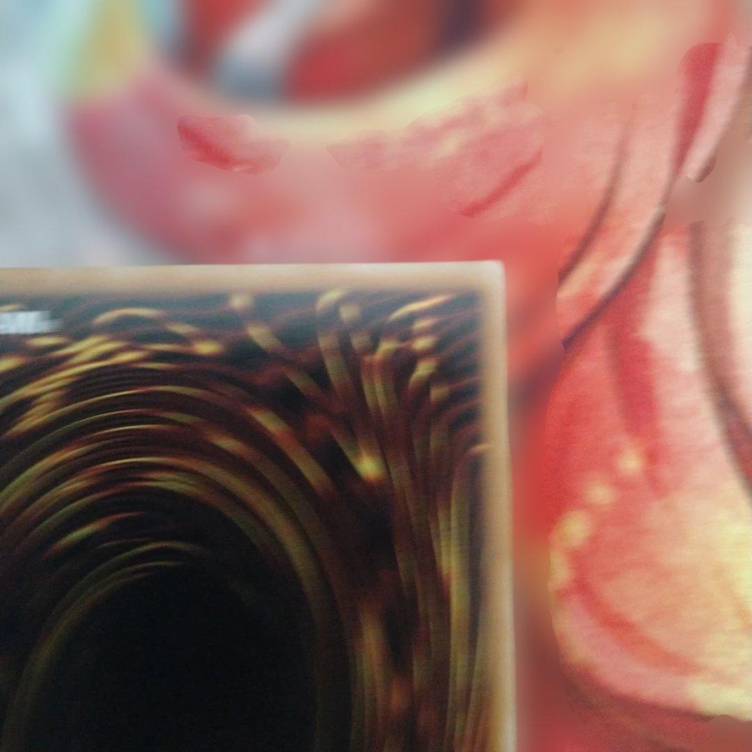 遊戯王　青眼の白龍　倶利伽羅天童　閉ザサレシ世界ノ冥神３枚セット