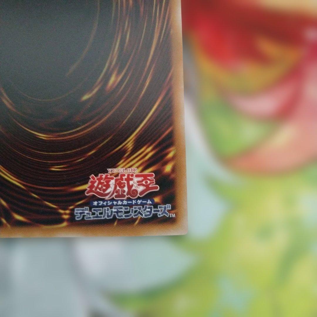 遊戯王　青眼の白龍　倶利伽羅天童　閉ザサレシ世界ノ冥神３枚セット