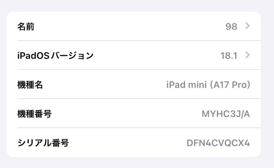 iPad mini A17Pro 512GB スペースグレー