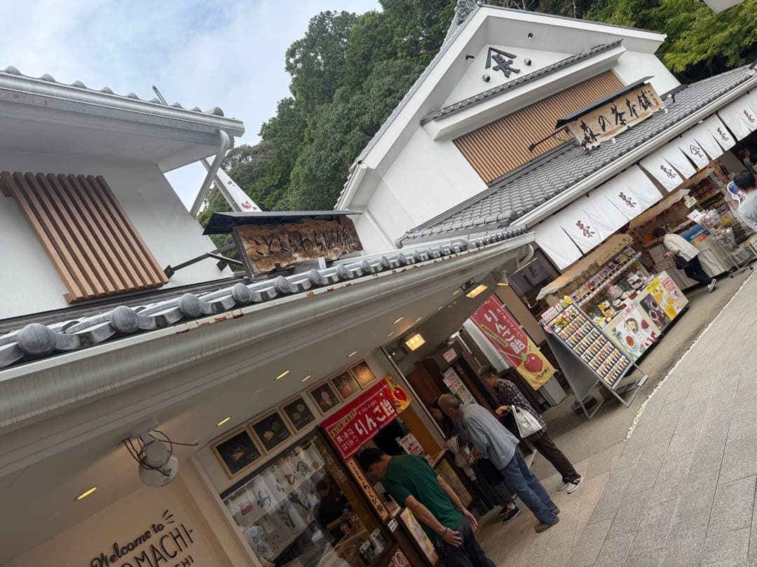 最終値下げSONY zv1f ケース２つ付き　即日発送