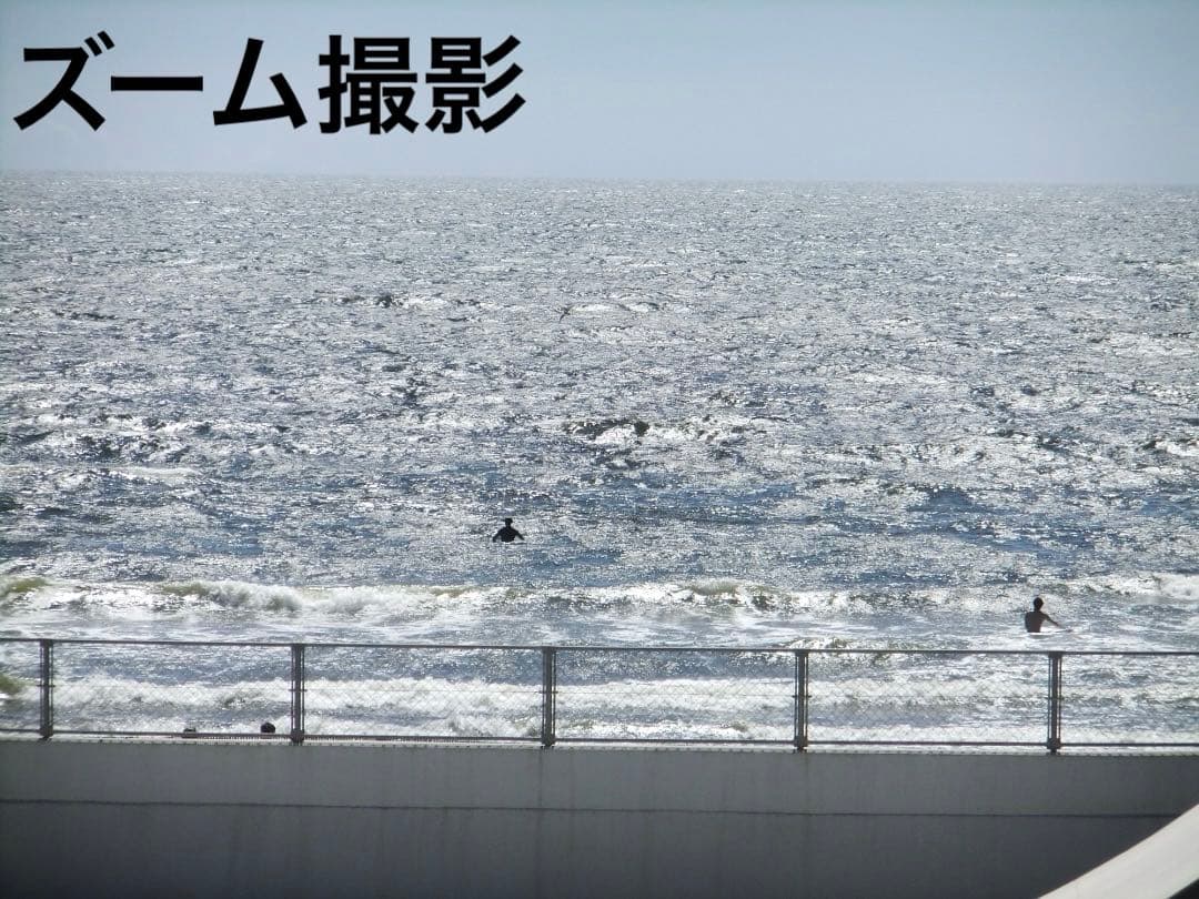 SDカード付き⭕️【動作確認済】FUJIFILM FinePix F80EXR