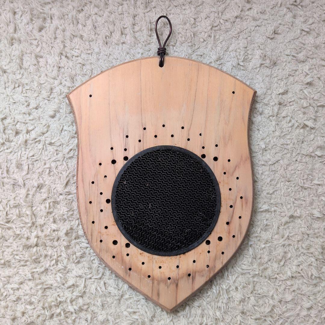 ビカクシダ　板