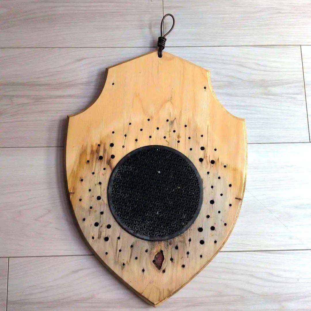 ビカクシダ　板