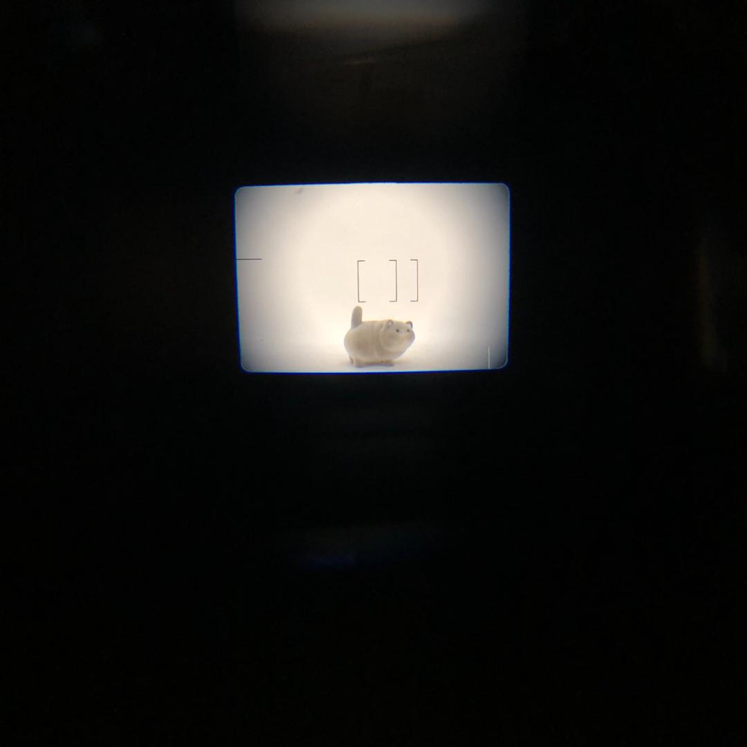 【C6391】Canon Autoboy S Panorama フイルムカメラ