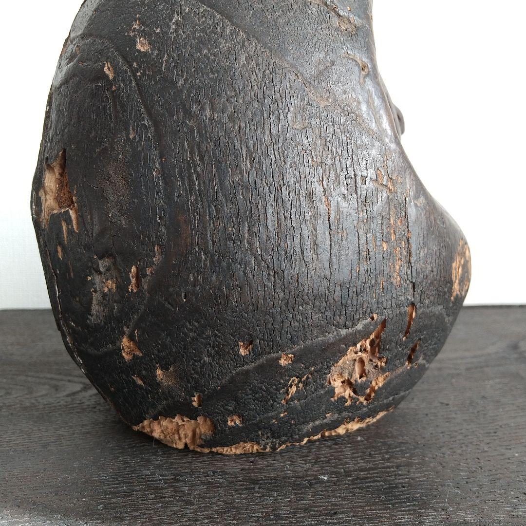 達磨 だるま 日本