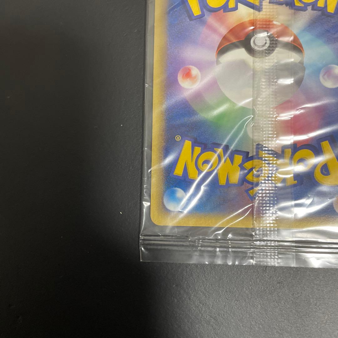 スイクン プロモ　ポケパーク