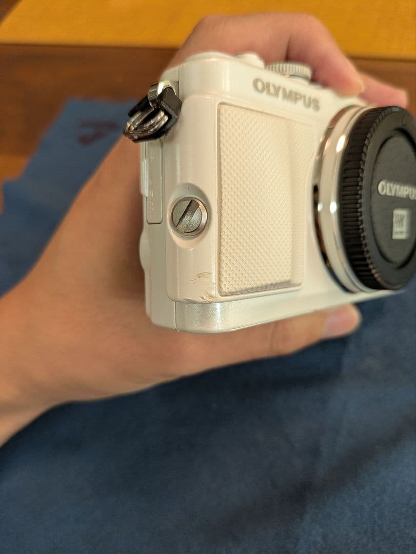 ジャンク‥OLYMPUS PEN lite E-PL6
