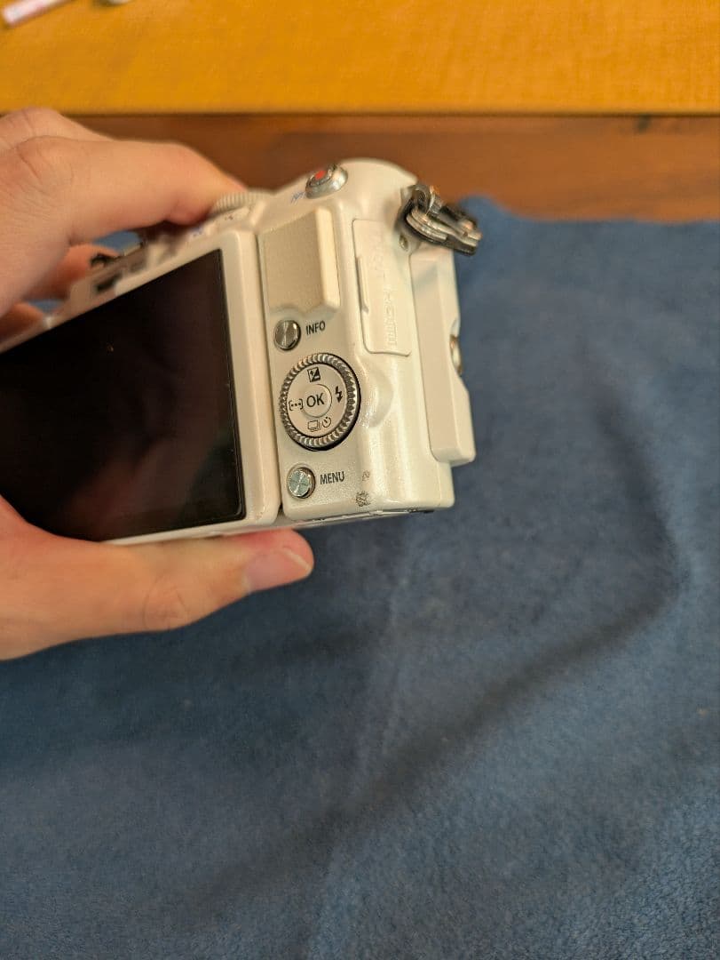 ジャンク‥OLYMPUS PEN lite E-PL6