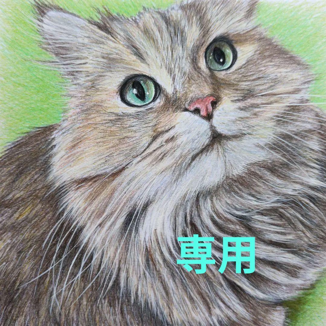ゆーみんmoonです♪ 色鉛筆画 2Ｌ判 猫♡ ４枚