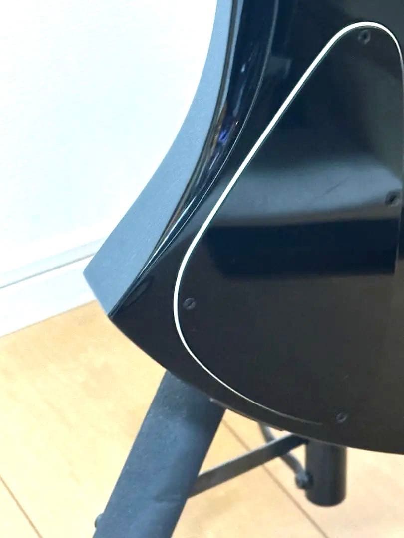 ネ*－様 Fernandes BURNY MG-80X EMG 純正ソフトケース