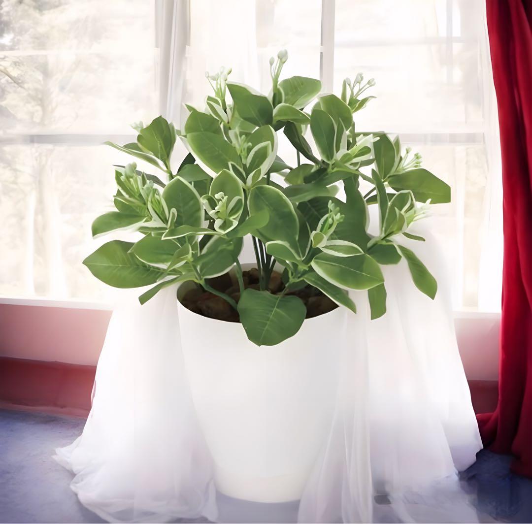 光触媒　人工観葉植物　ウォールグリーン　フェイクグリーン　ピトスポラム