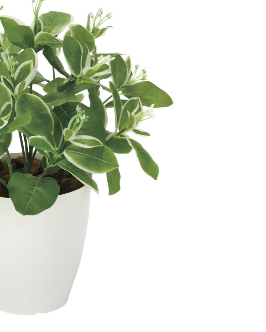 光触媒　人工観葉植物　ウォールグリーン　フェイクグリーン　ピトスポラム