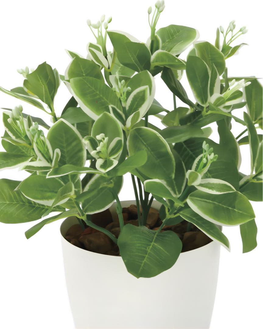 光触媒　人工観葉植物　ウォールグリーン　フェイクグリーン　ピトスポラム