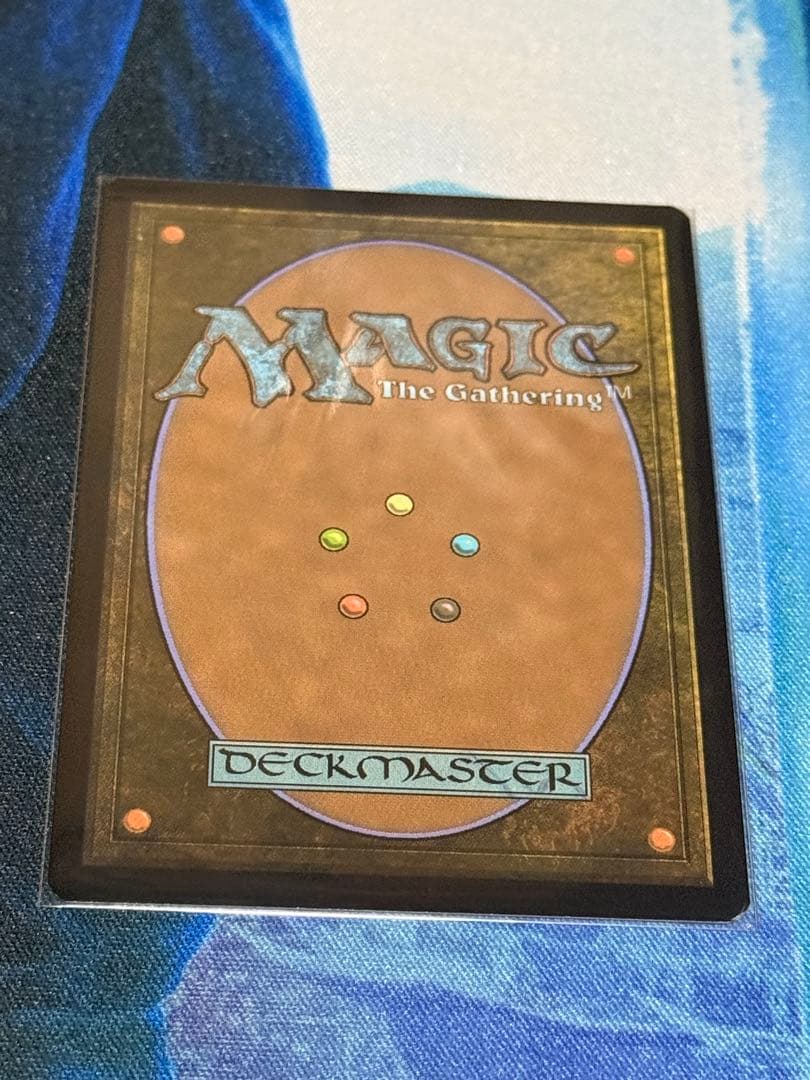 樹木茂る山麓　ボーダレスfoil4枚セット　マジックザギャザリング