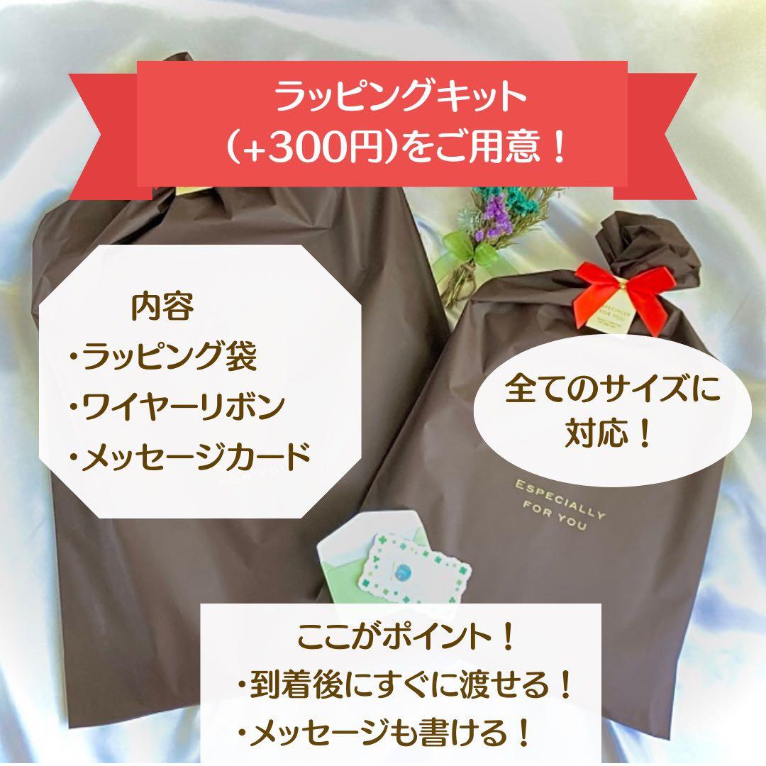 似顔絵　還暦祝い・古希・米寿・喜寿・傘寿・卒寿・百寿　ちゃんちゃんこb