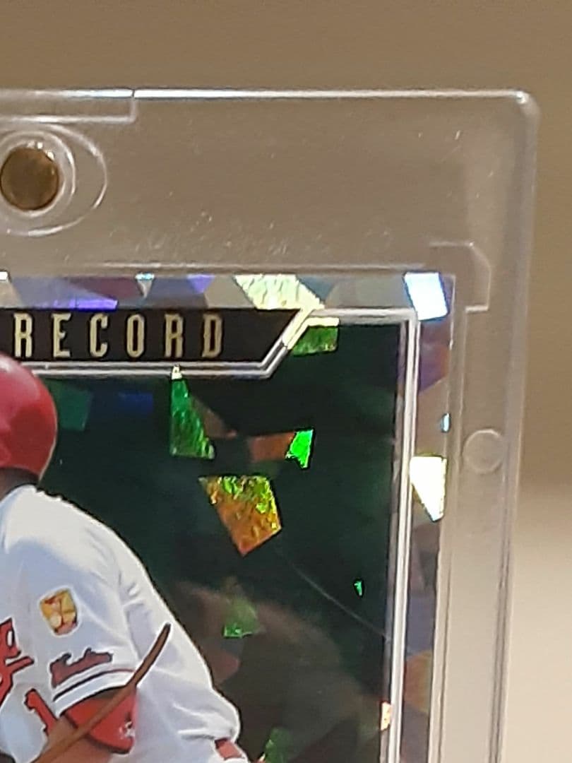 2019鈴木誠也★世界に50枚限定GOLDサイン入りWBC大活躍中シカゴカブス