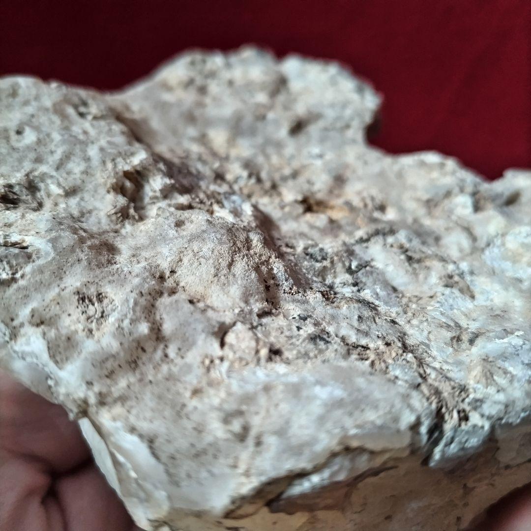 枝幸瑪瑙 木製台座付き メノウ 観賞石 自然石