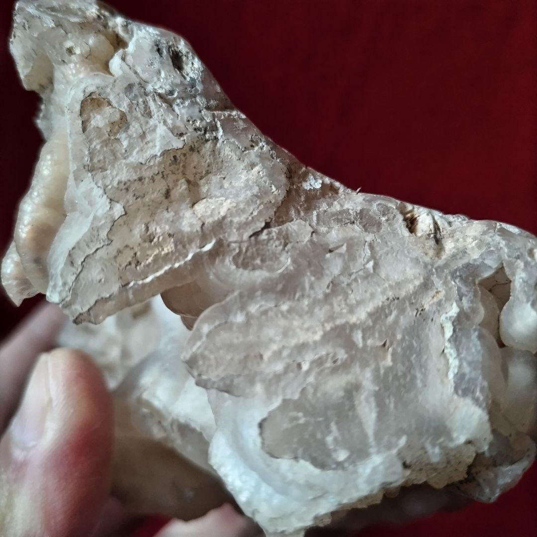 枝幸瑪瑙 木製台座付き メノウ 観賞石 自然石