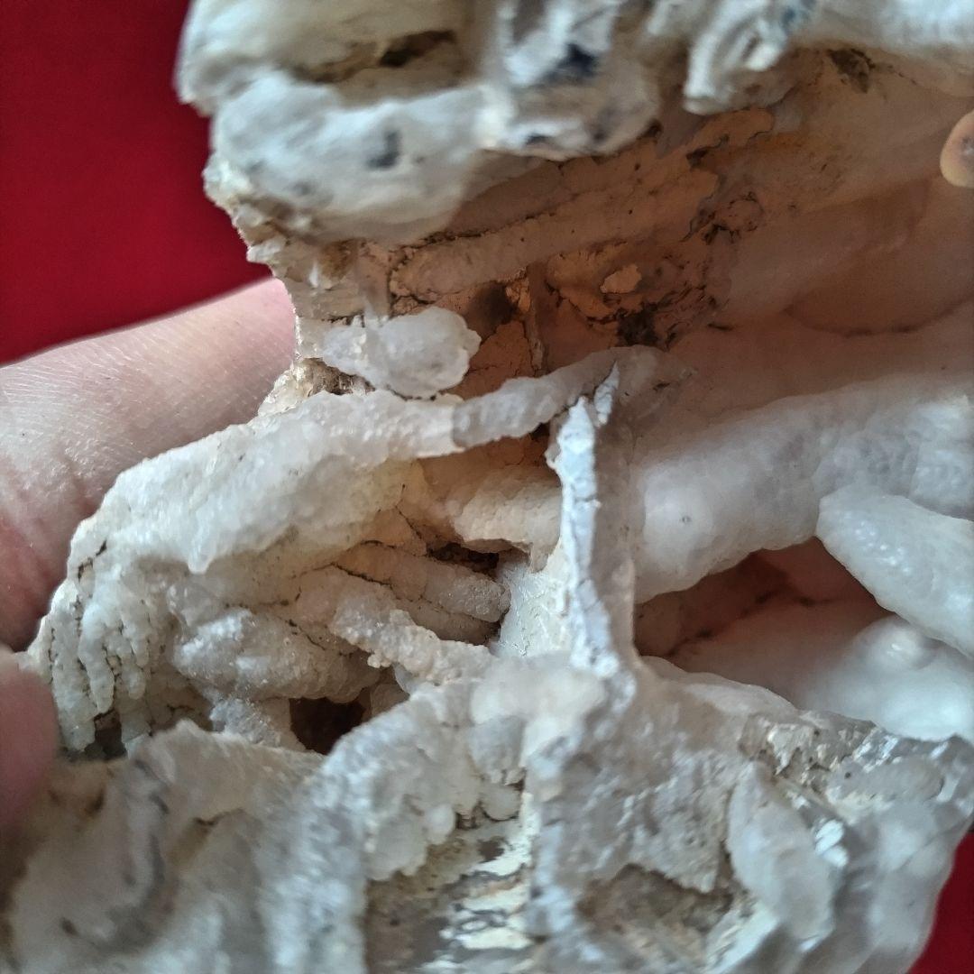 枝幸瑪瑙 木製台座付き メノウ 観賞石 自然石