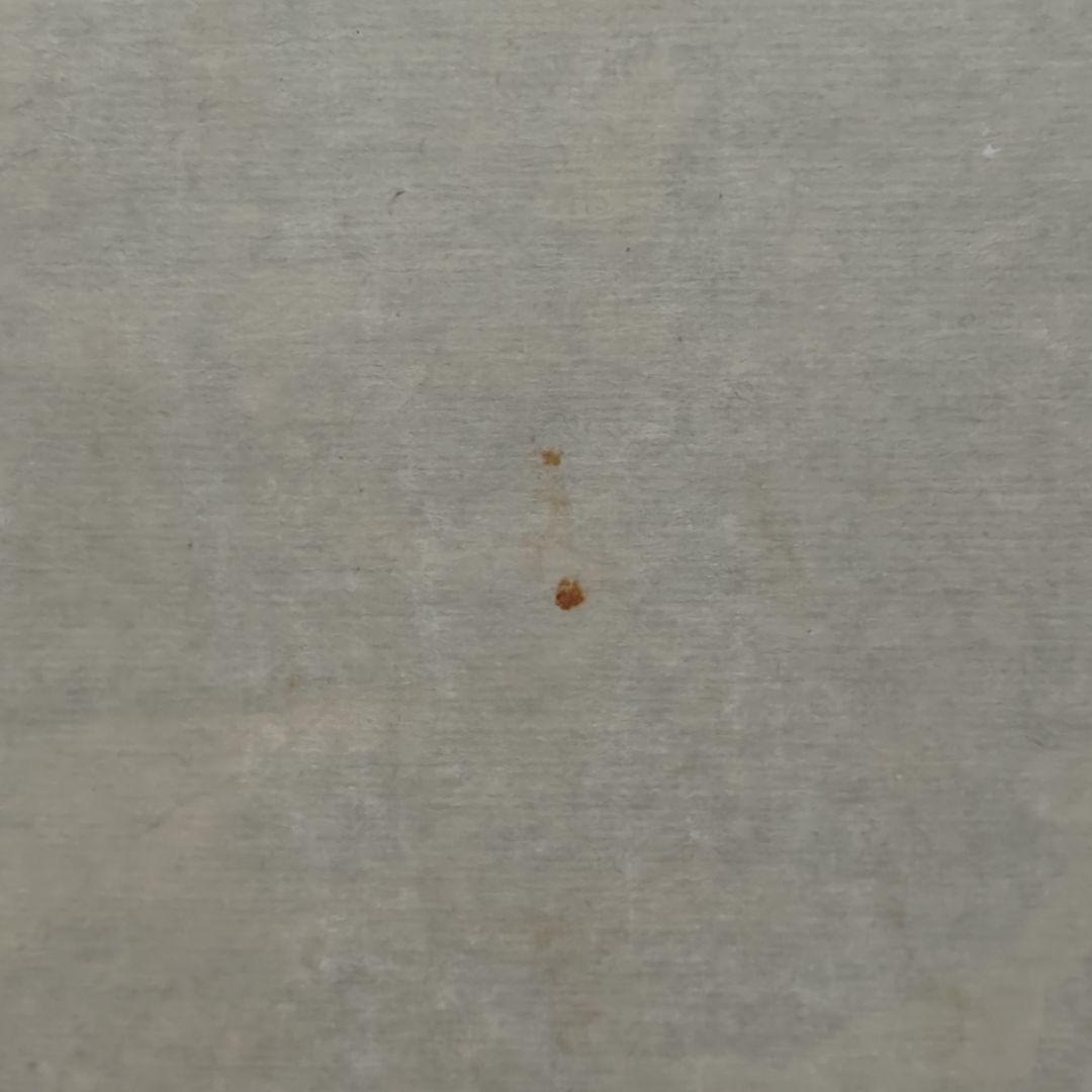 山水画 掛軸 (理山??) (送料1500円)