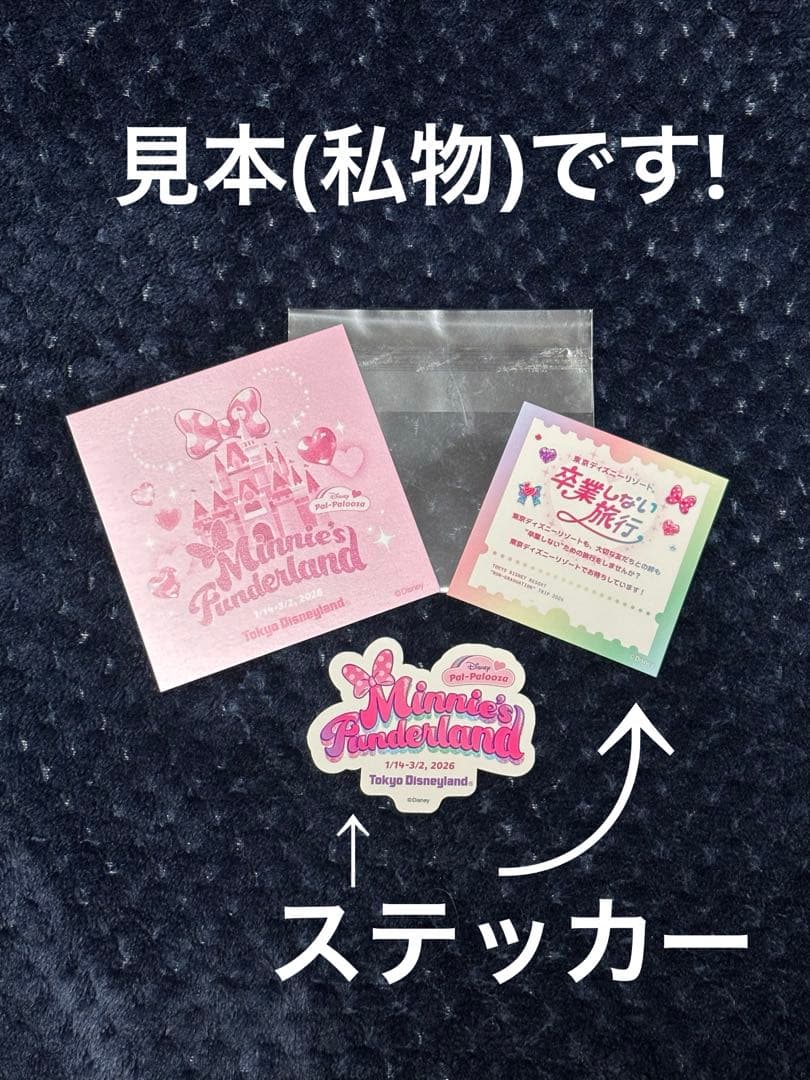 ミニー ファンダーランド ぬいぐるみ ミニパル パルパルーザ ミニーの日 ミニデ